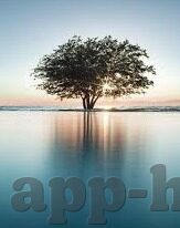av人妻天堂网-探索AV人妻题材的多元视角与网络文化现象